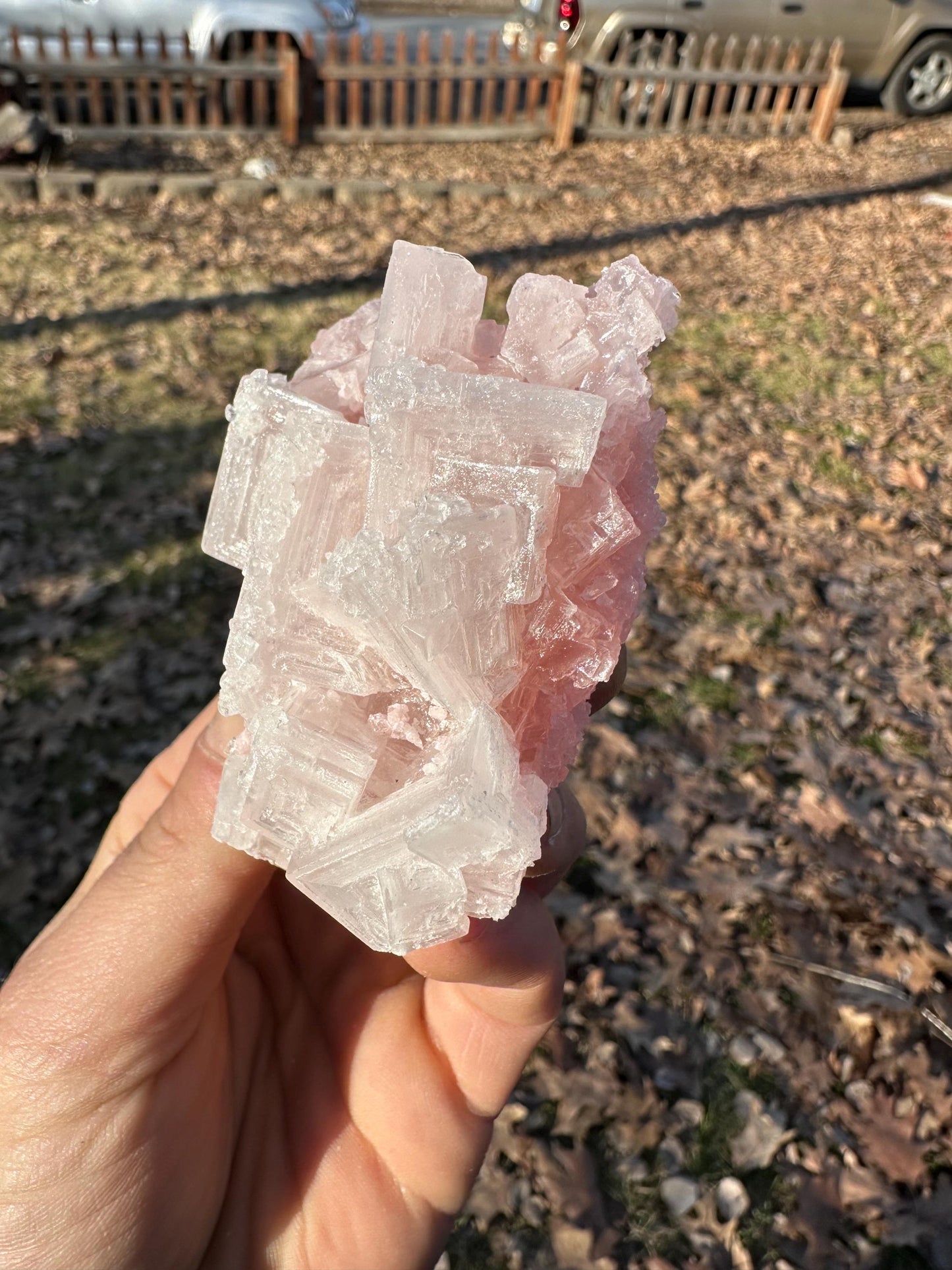Pink Halite - Searles Lake, Trona, California, USA