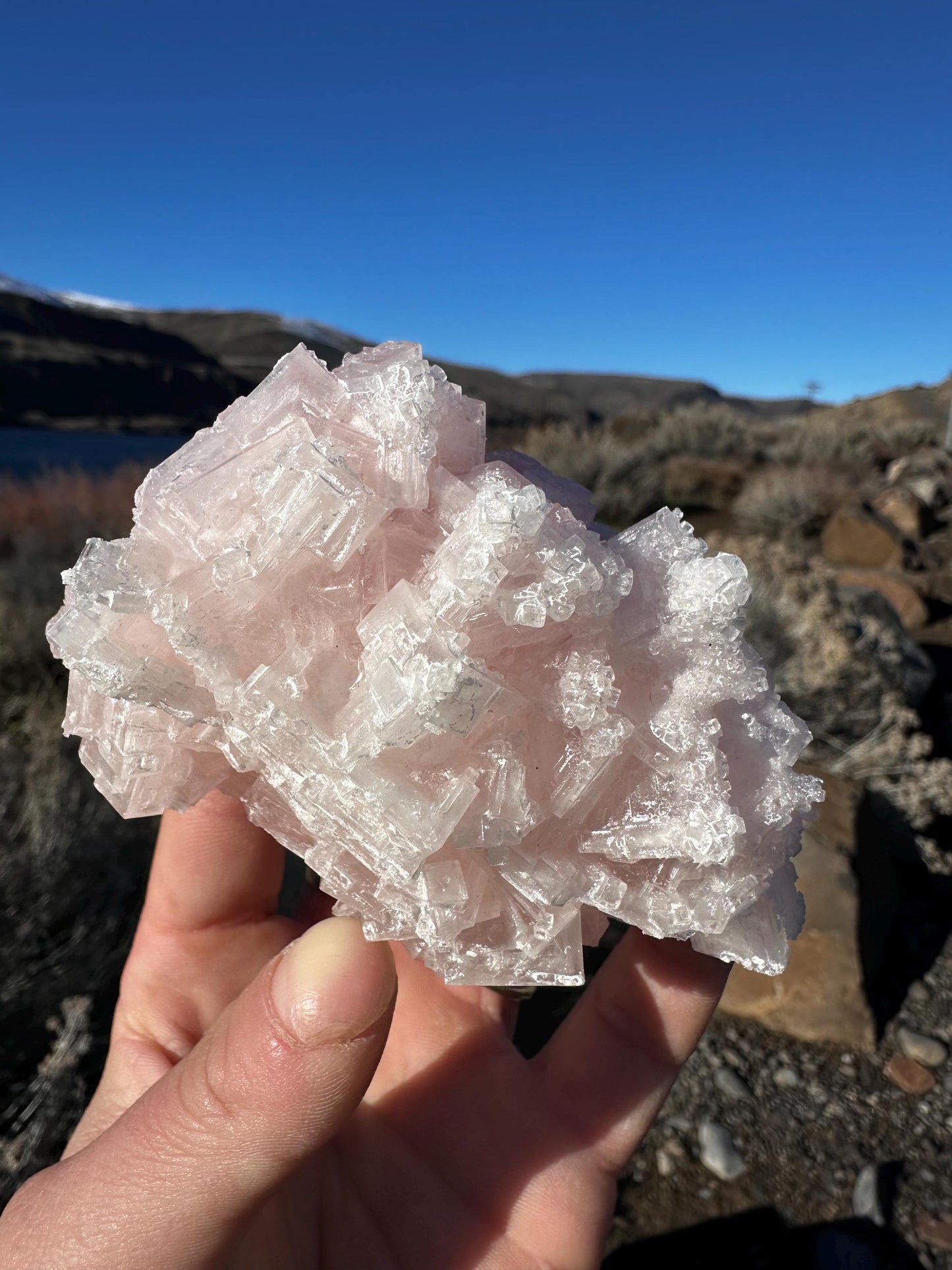 Pink Halite - Searles Lake, Trona, California, USA