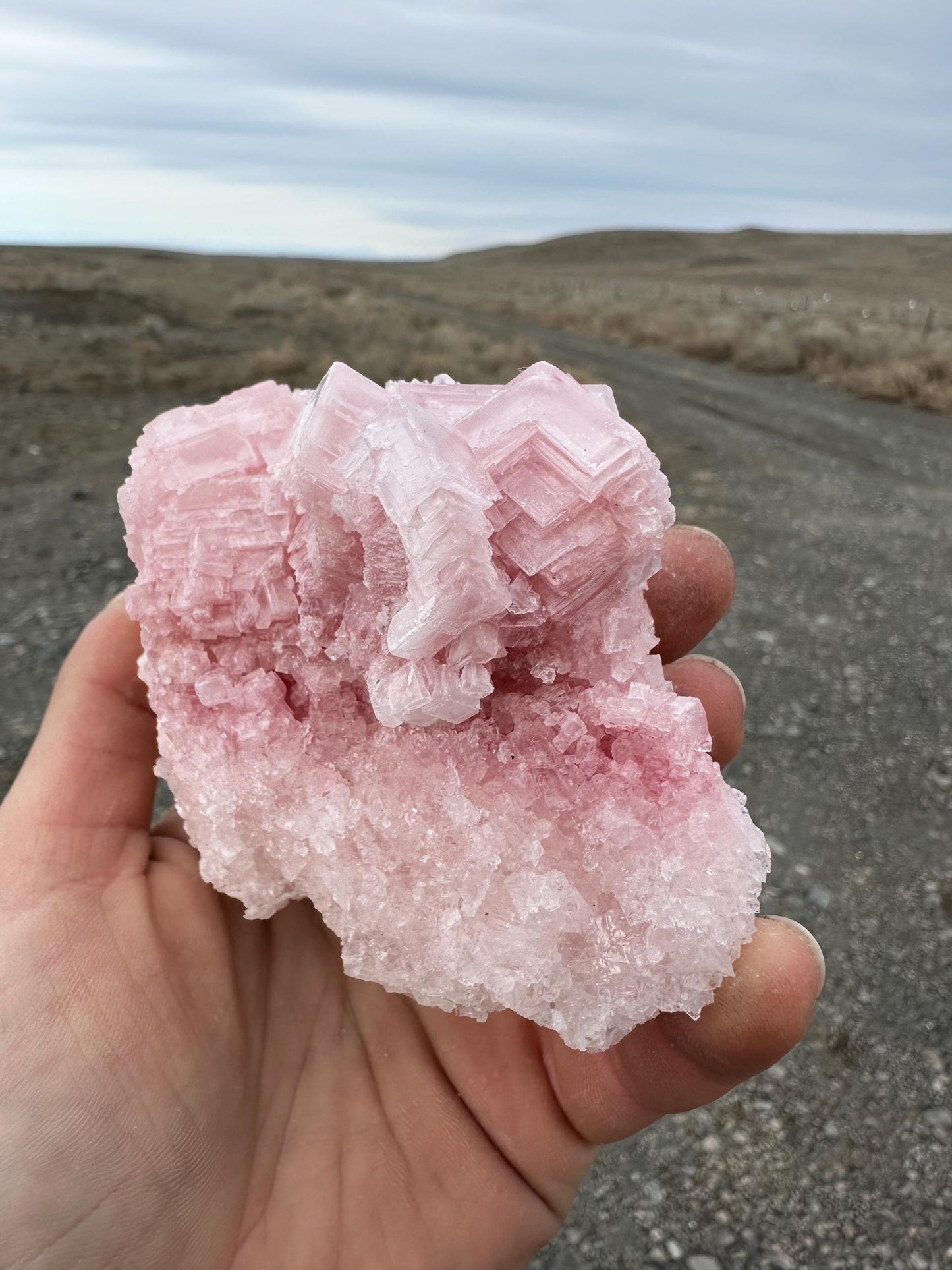 Pink Halite - Searles Lake, Trona, California, USA
