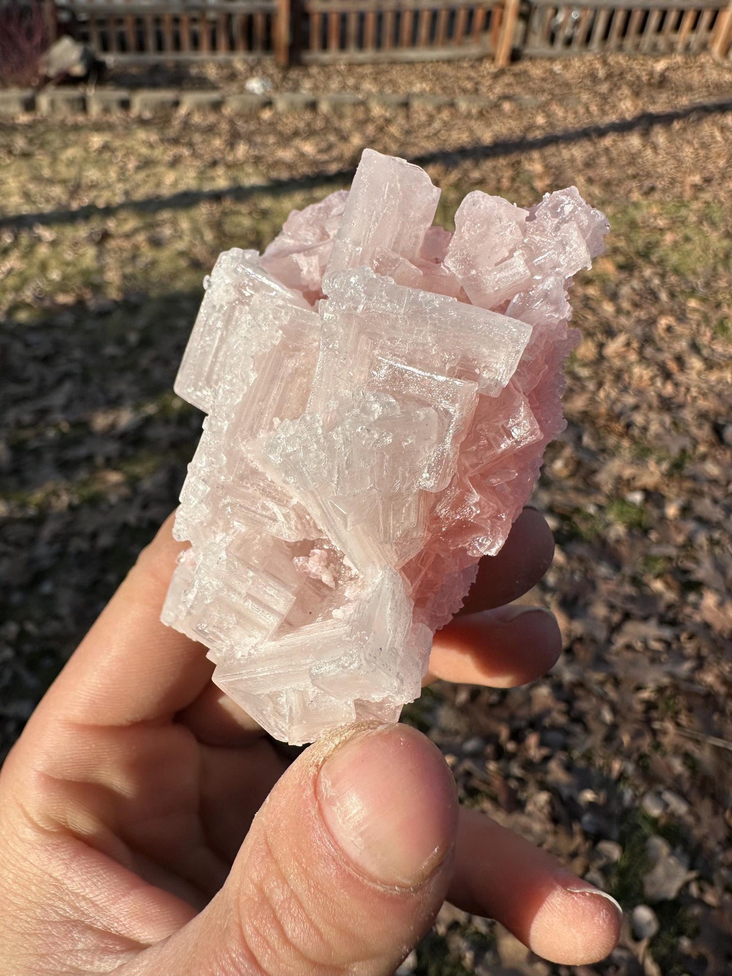 Pink Halite - Searles Lake, Trona, California, USA
