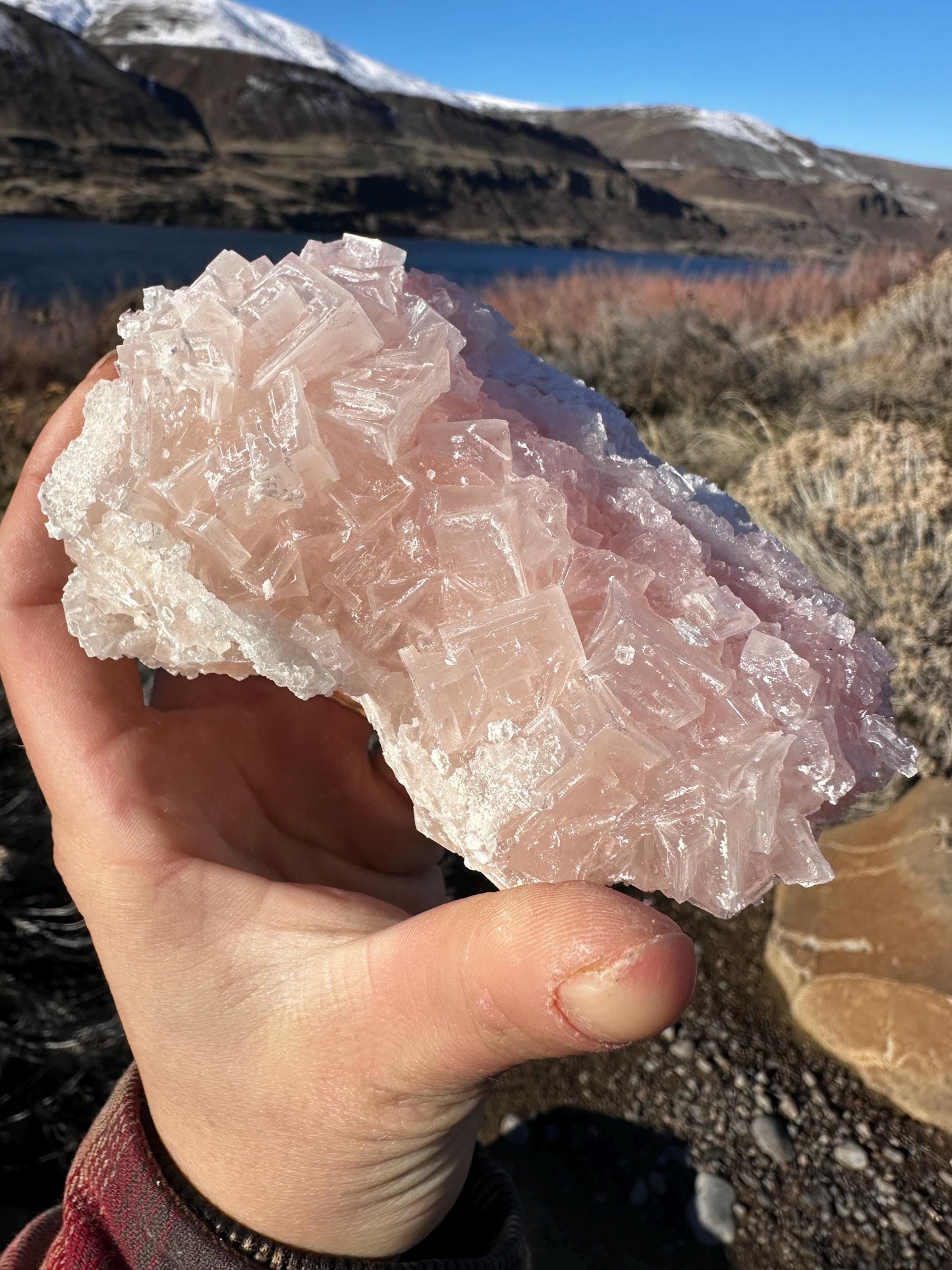 Pink Halite - Searles Lake, Trona, California, USA