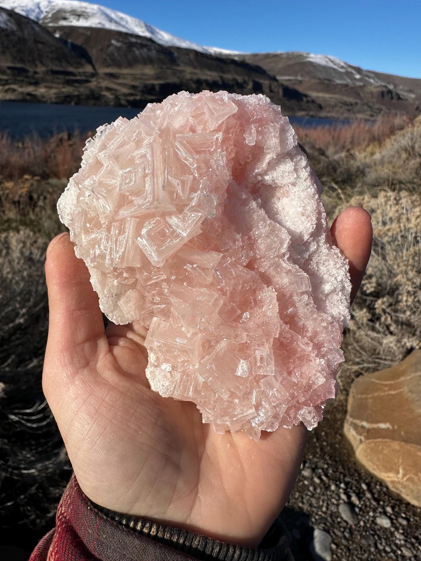 Pink Halite - Searles Lake, Trona, California, USA