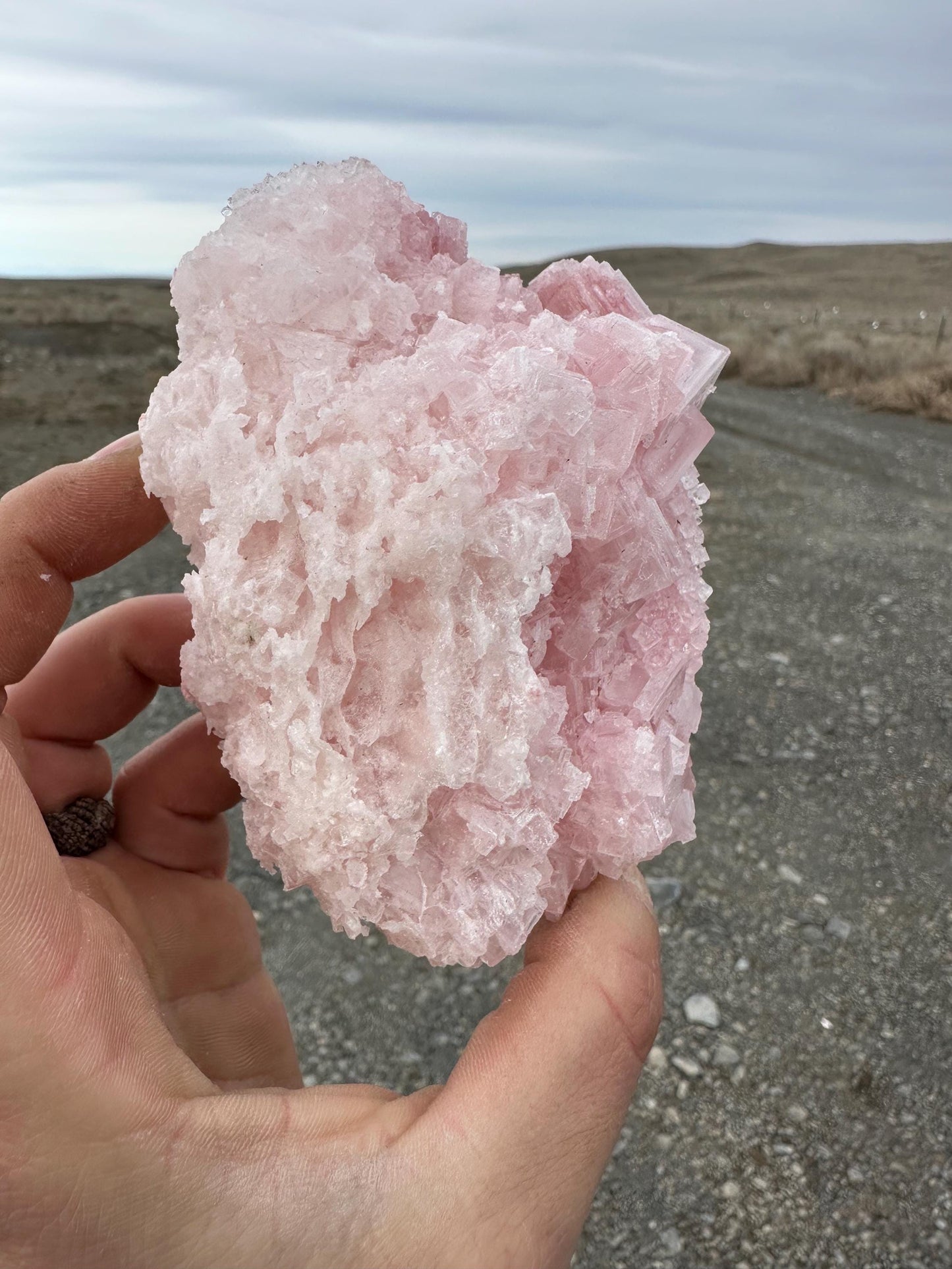Pink Halite - Searles Lake, Trona, California, USA