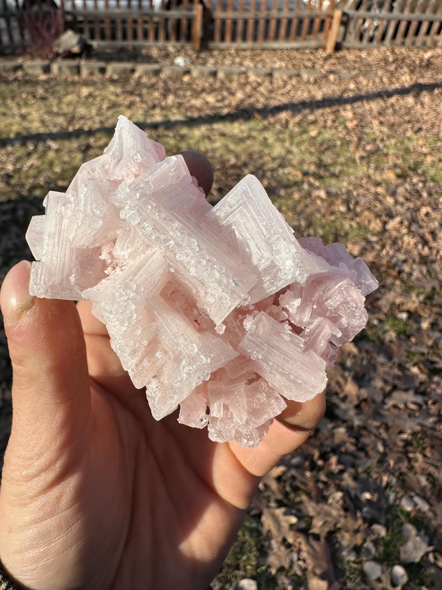 Pink Halite - Searles Lake, Trona, California, USA