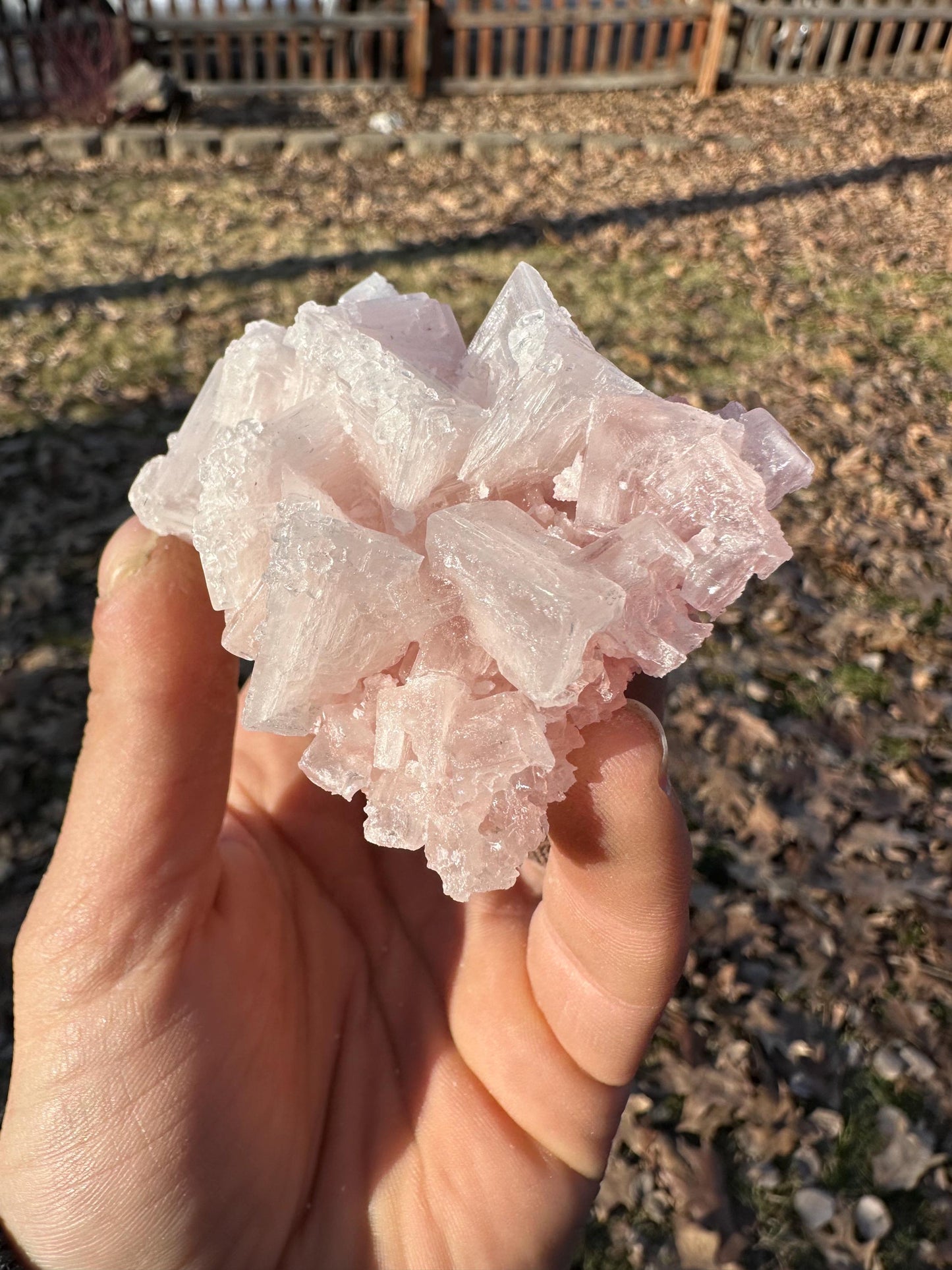 Pink Halite - Searles Lake, Trona, California, USA
