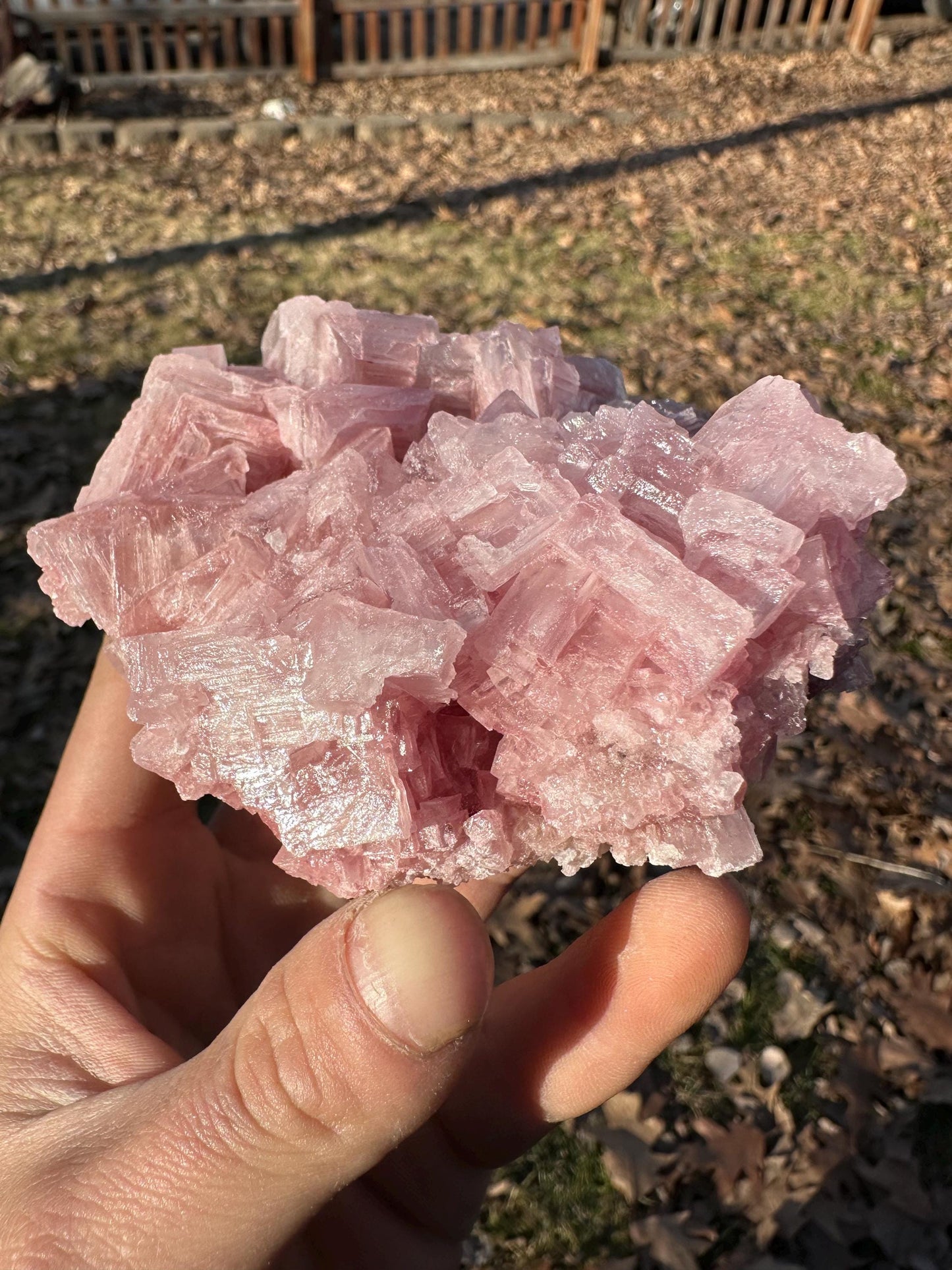 Pink Halite - Searles Lake, Trona, California, USA