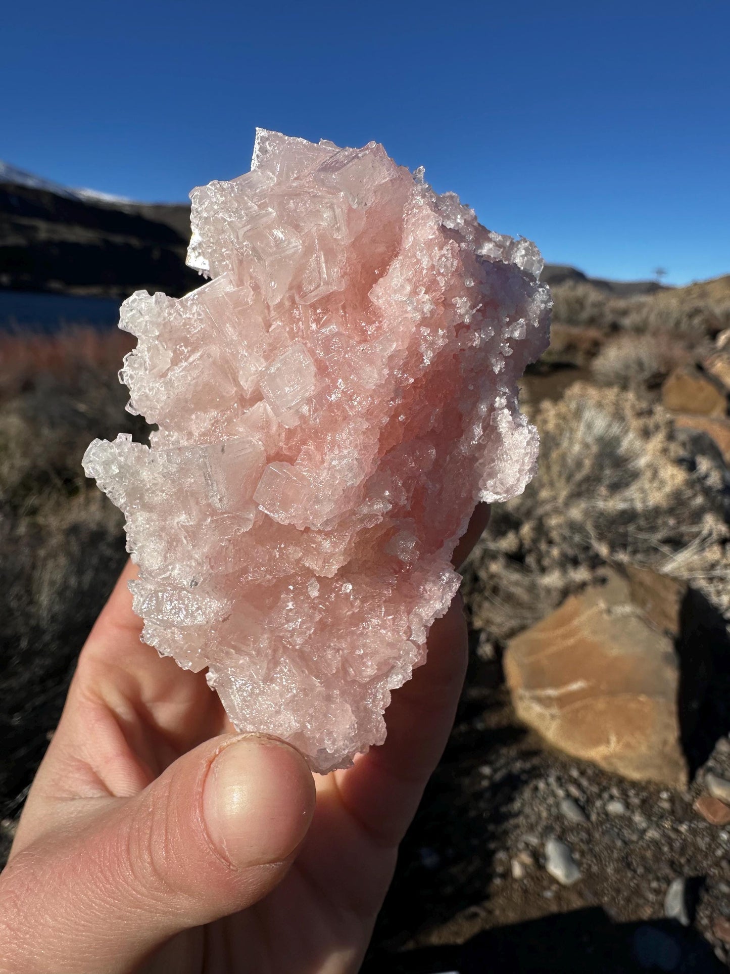 Pink Halite - Searles Lake, Trona, California, USA