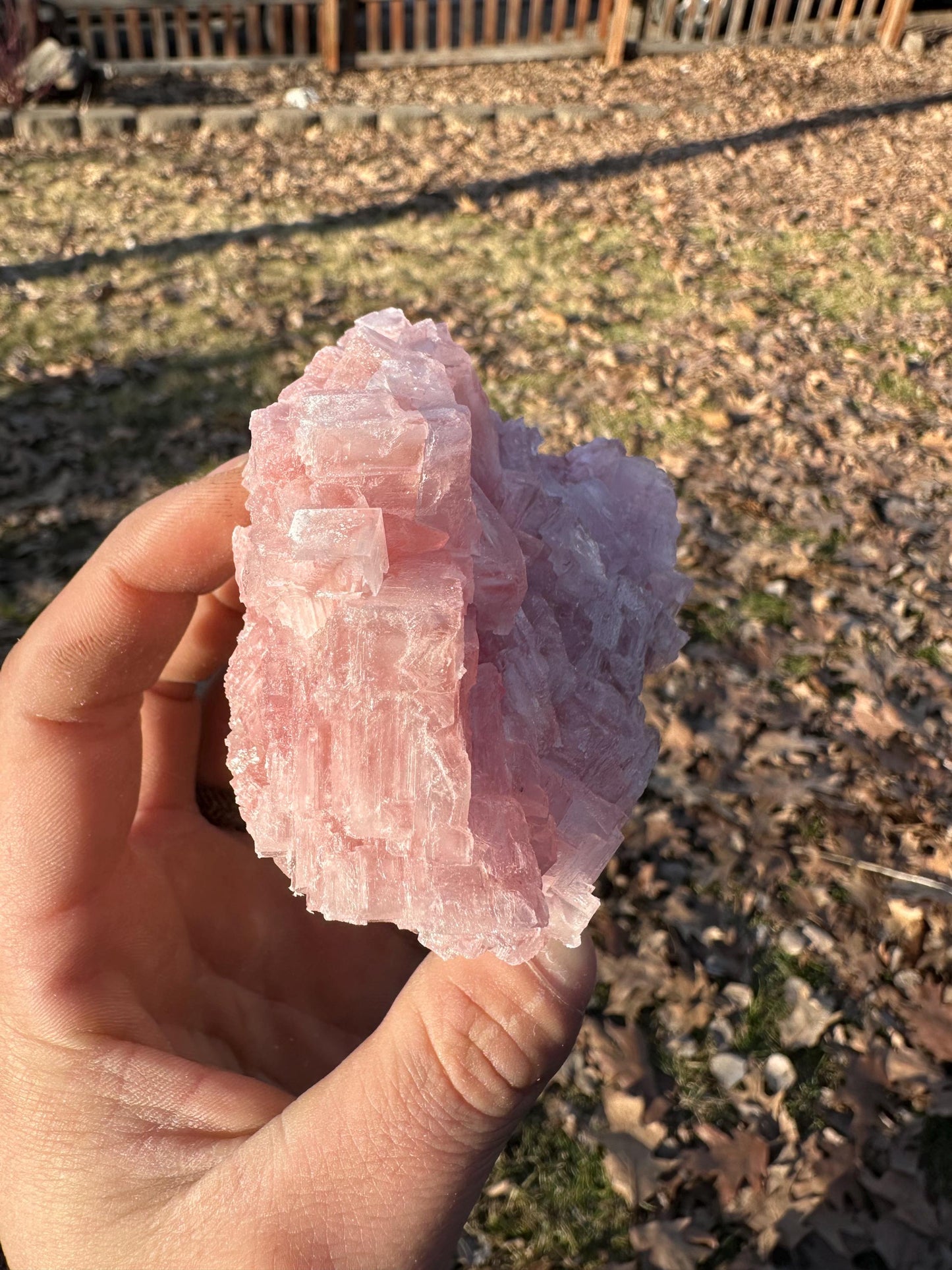 Pink Halite - Searles Lake, Trona, California, USA