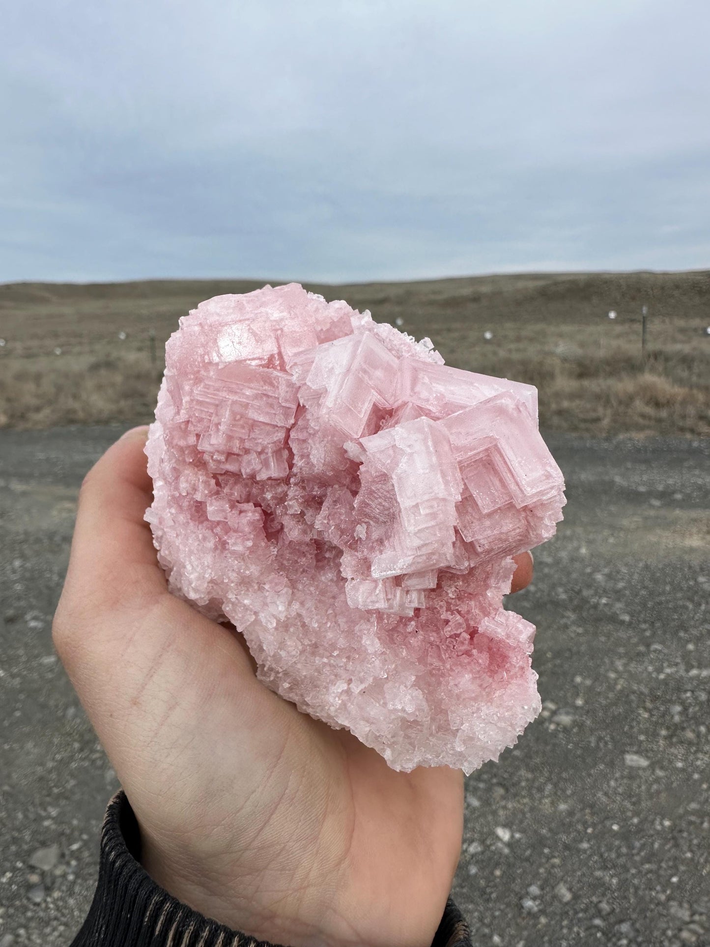 Pink Halite - Searles Lake, Trona, California, USA