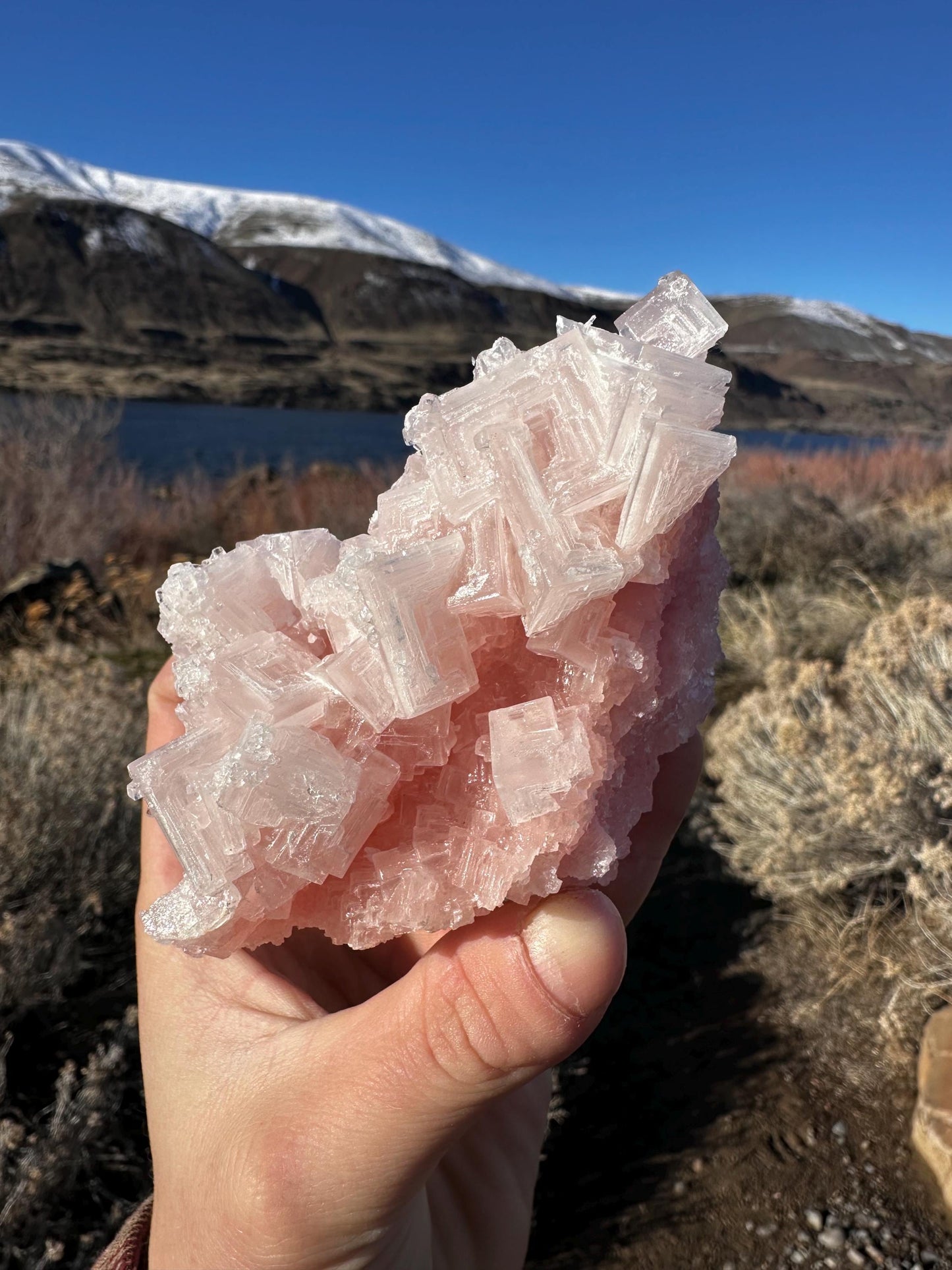 Pink Halite - Searles Lake, Trona, California, USA