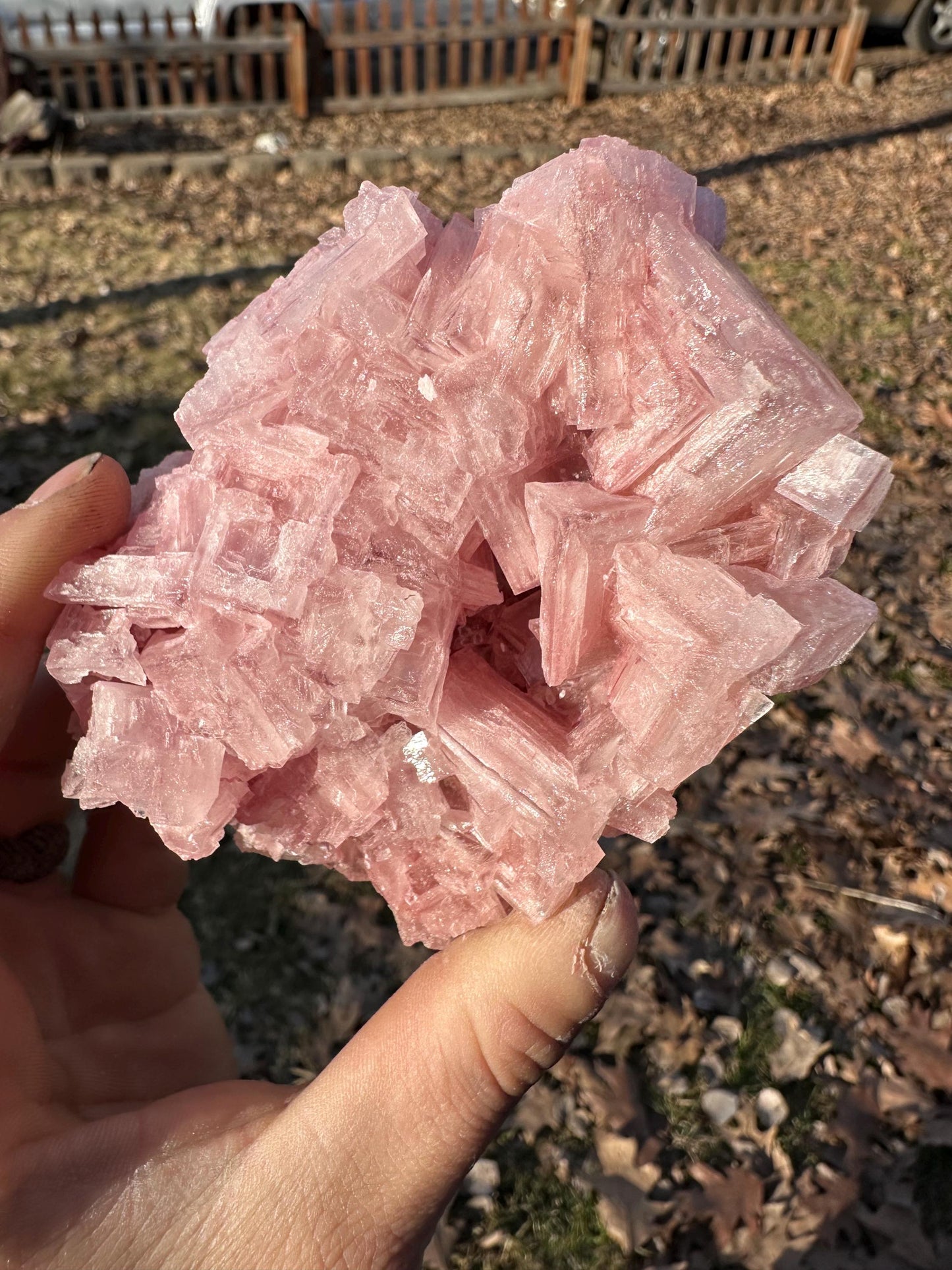 Pink Halite - Searles Lake, Trona, California, USA