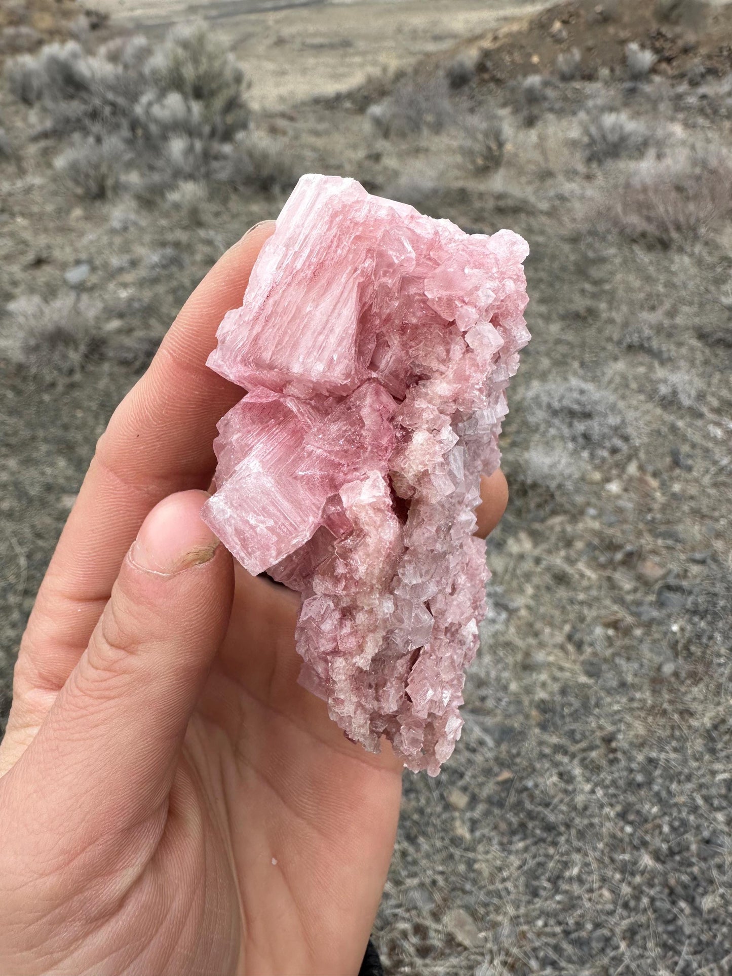 Pink Halite - Searles Lake, Trona, California, USA