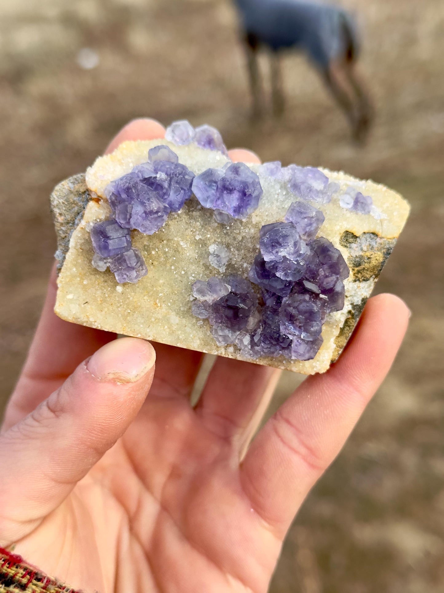 Fluorite - Xia Yang Mine, Fujian, China