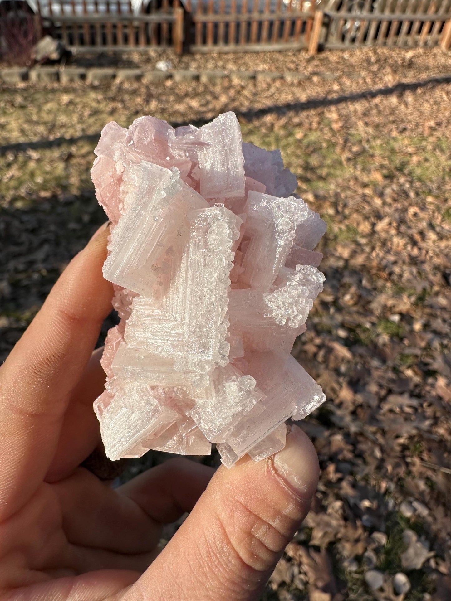 Pink Halite - Searles Lake, Trona, California, USA