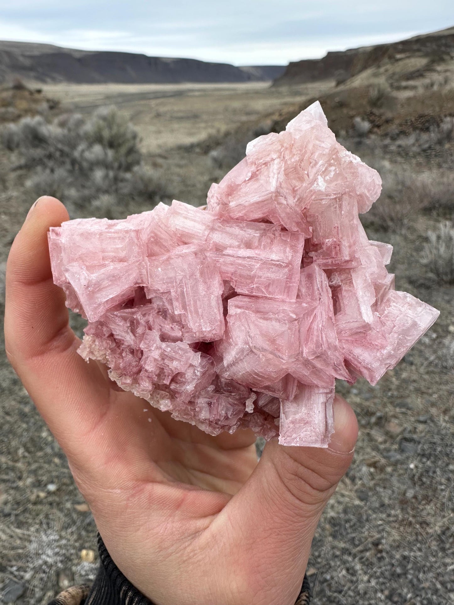 Pink Halite - Searles Lake, Trona, California, USA